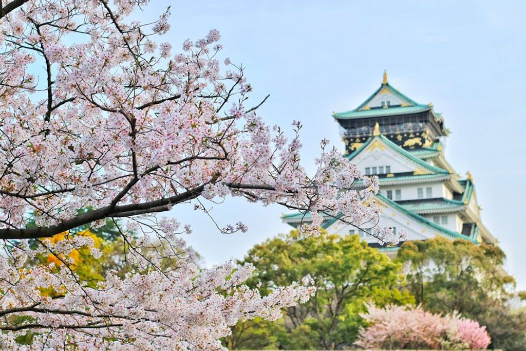 Bagus Pangestu באתר PEXELS JAPAN